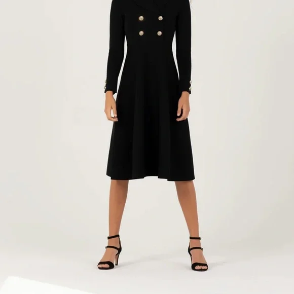 Aleeza Paris Elegant Black Double-Breasted Dress - Picture 3 of 5